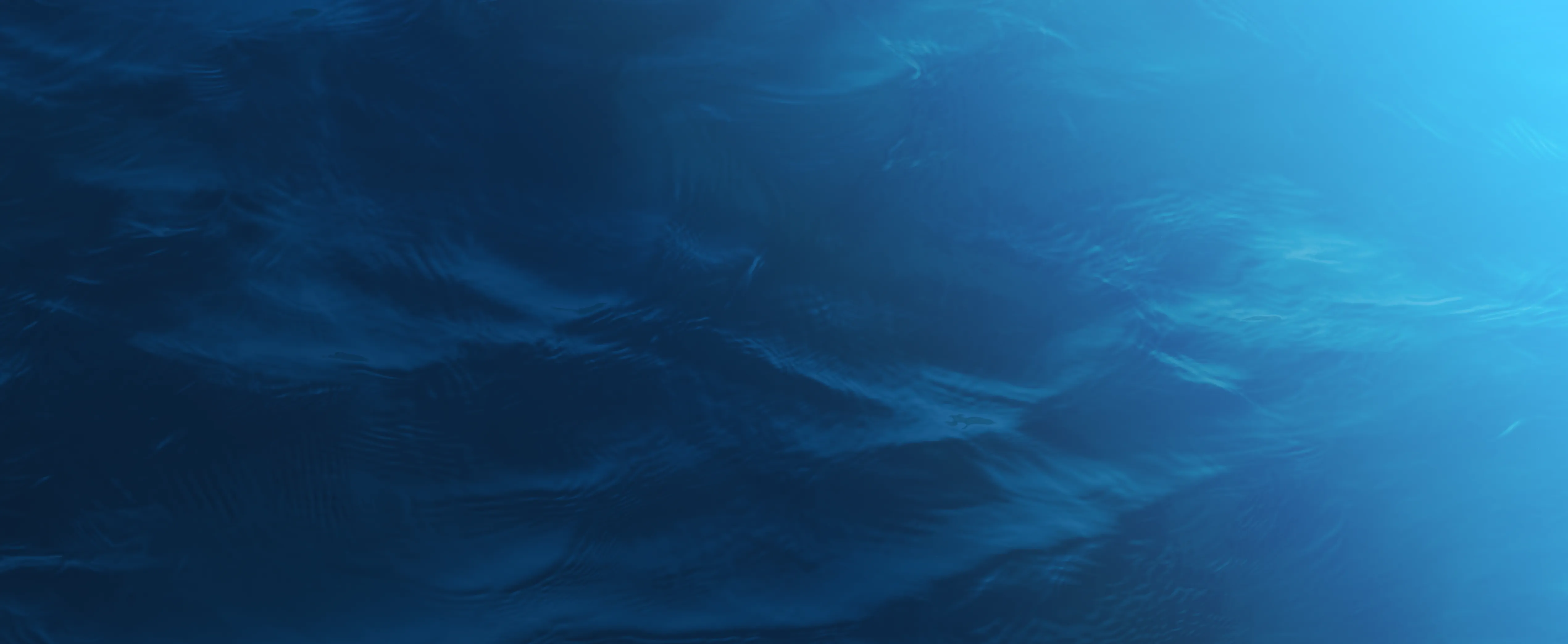 Fondo agua Guariniello